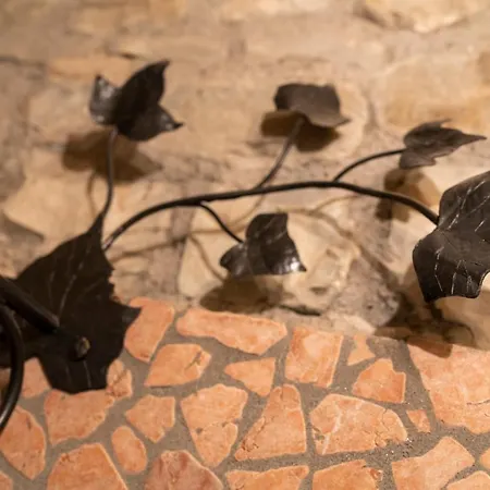 Il Podere Calvanella 3* San Clemente (Bologna)