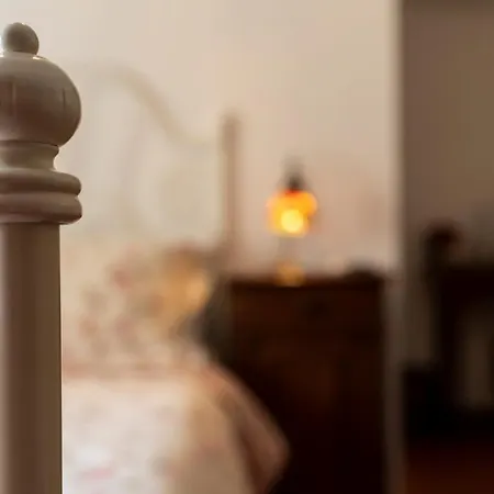 לינה וארוחת בוקר Il Podere Calvanella